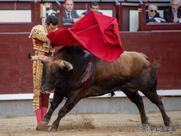 Barriendo los lomos