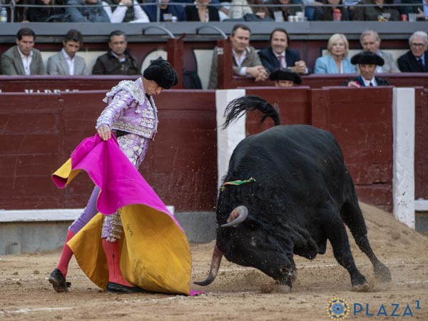 Ver�nicas de Luque
