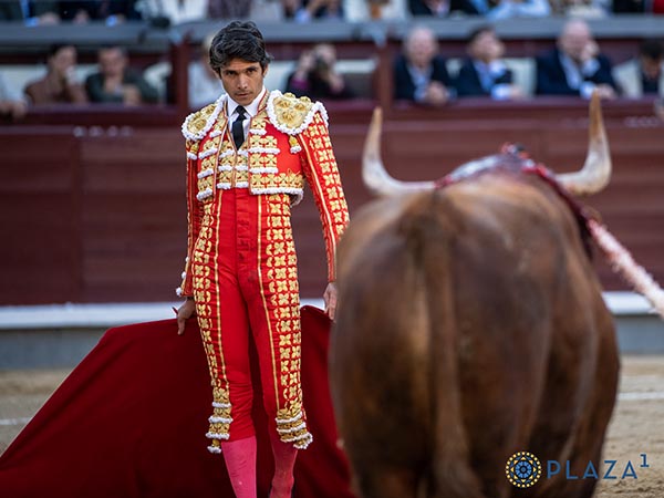 Frente al casta�o