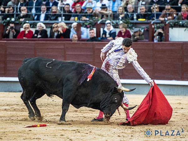 Una oreja de cada ejemplar de su lote