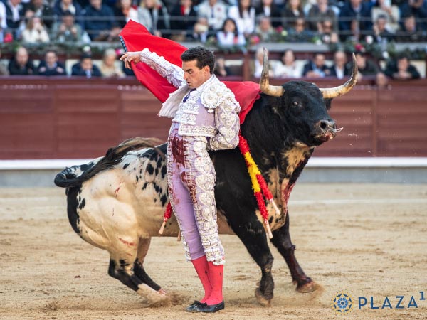Final de faena