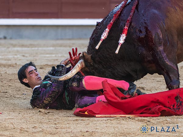 Torero en peligro