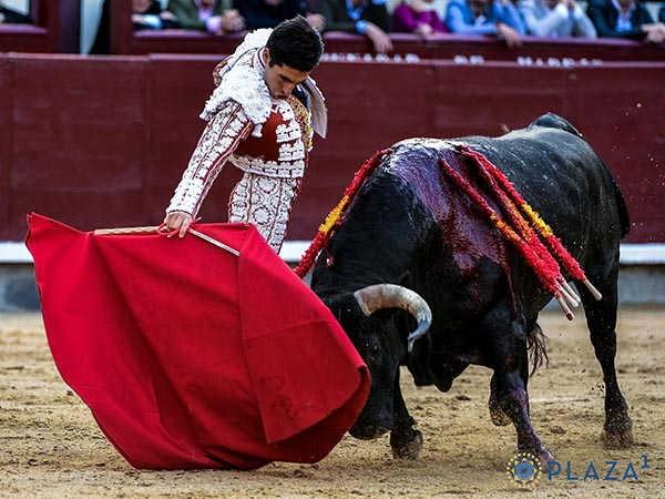 Pit�n derecho