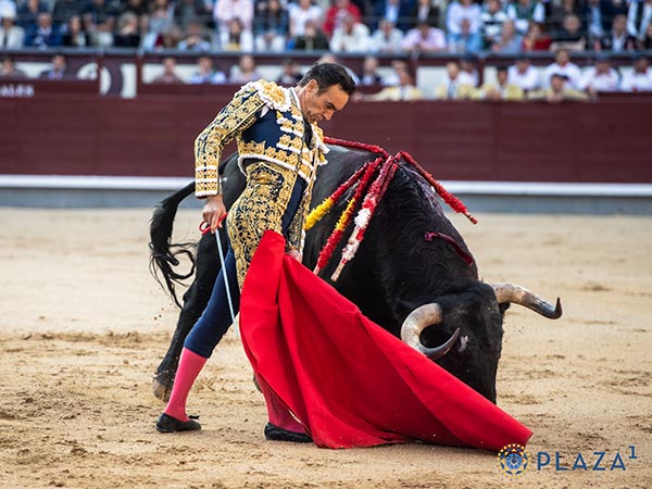 Adornos finales