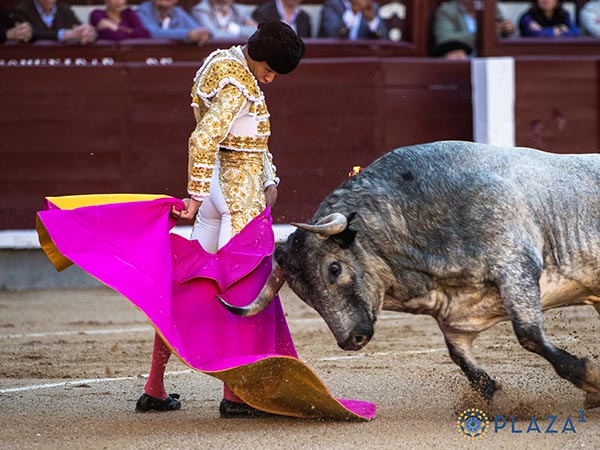 La media del confirmante
