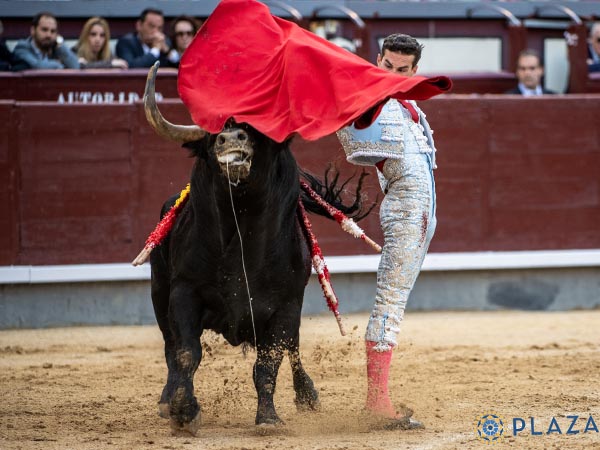 A dos d�as, no refrend� triunfo