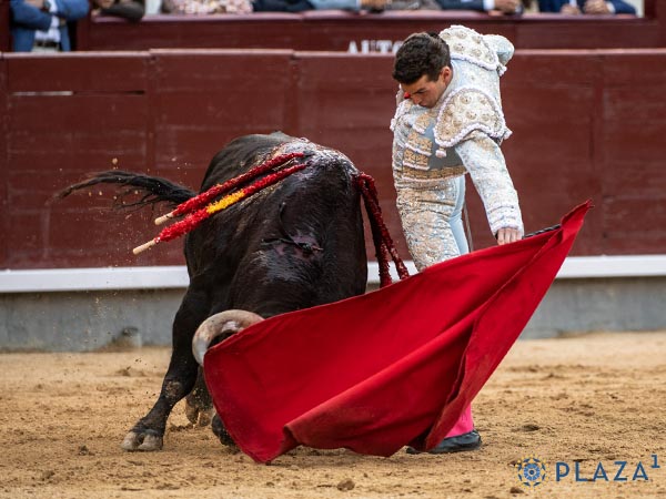 El toro de m�s evidentes posibilidades