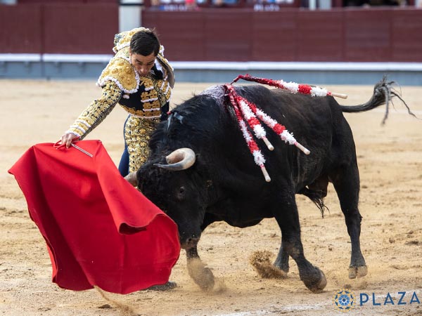 Trasteo poco acertado