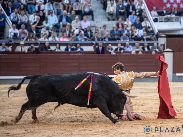 F�rrea actitud del torero