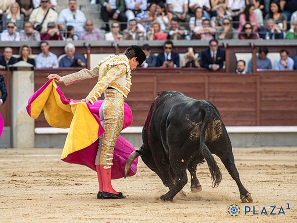 Espectacular quite por gaoneras