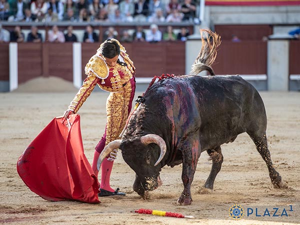 Mano baja