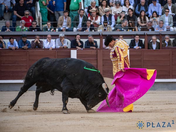 Pedro, primer espada