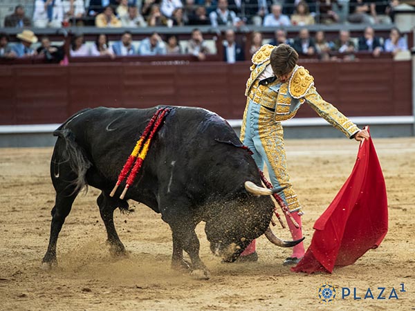 Pit�n izquierdo