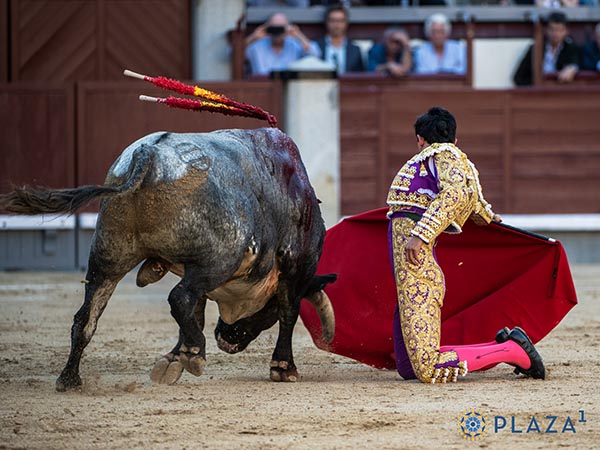 De hinojos