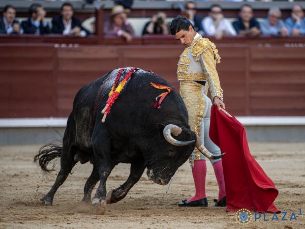 Destellos de arte