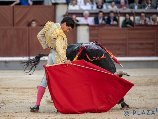 Por el derecho