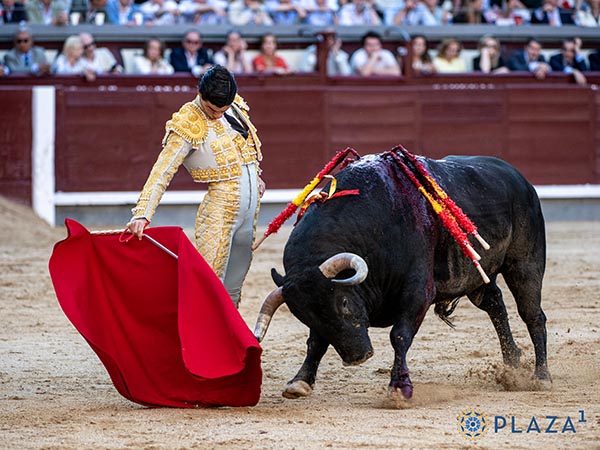 Reposo y verticalidad