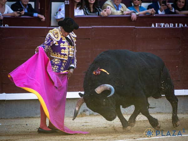 Primer espada