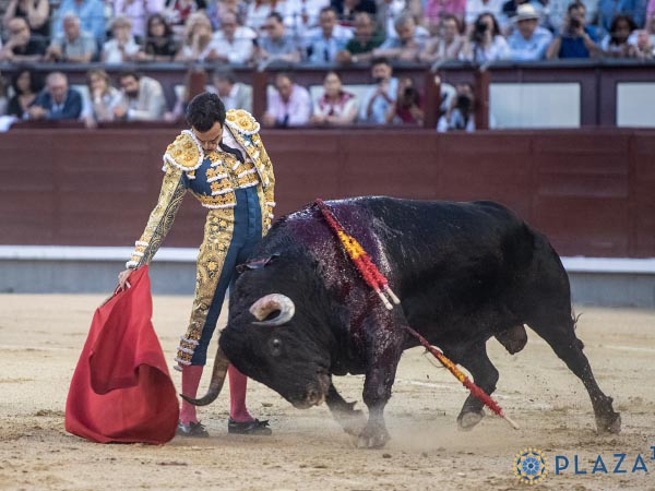Rufo con su segundo