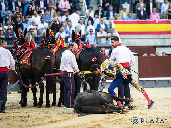 Petici�n mayoritaria de vuelta a restos