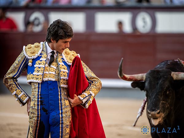 La figura y el bravo