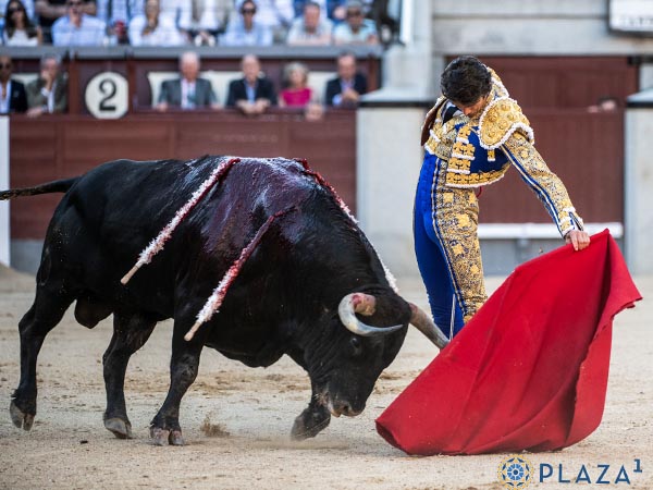 Naturales del franc�s