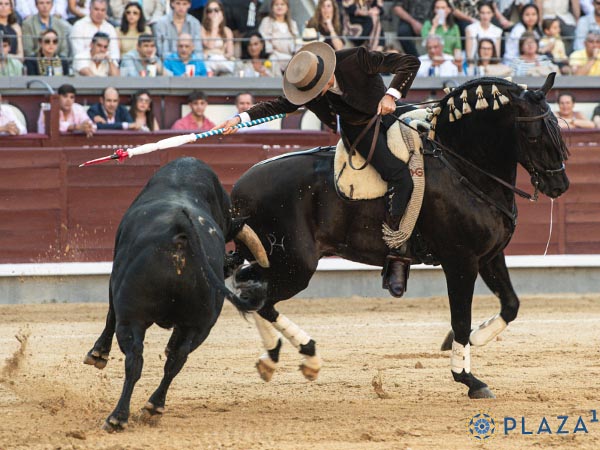 Guillermo, toreando con la jaca