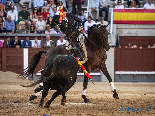 Grana y gualda en la banderilla