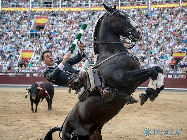 Alarde de doma