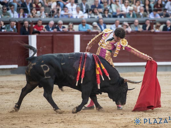 Dos afiladas navajas