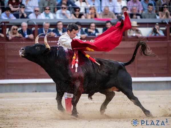De pit�n a rabo