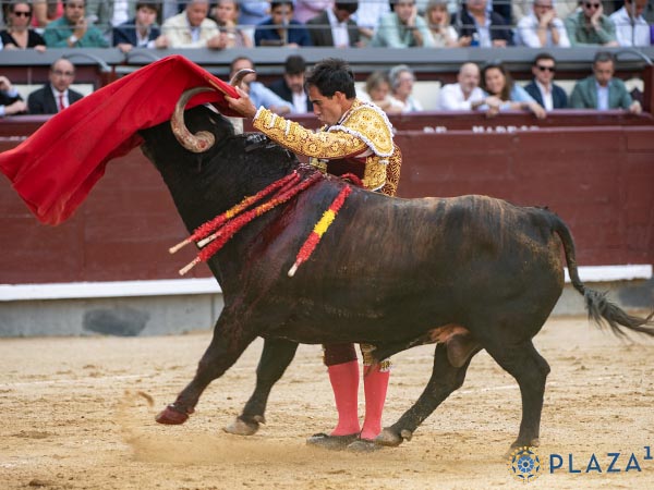 Abrochando por alto