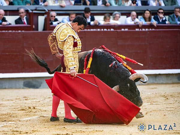 Barbilla en el pecho
