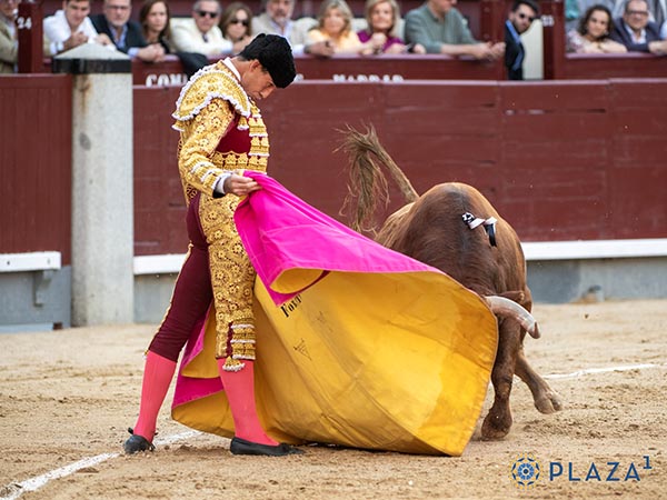 Fortes, primer espada