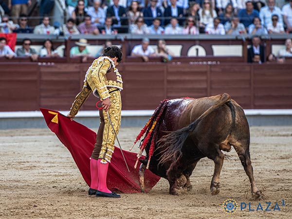 Alarg� su trasteo