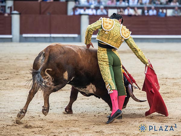 El toreo puro y templado