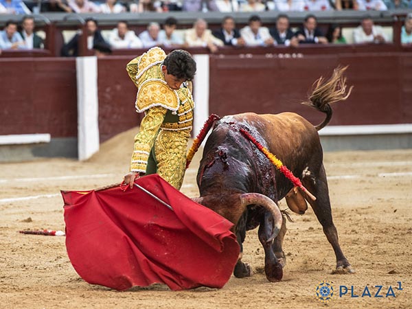 Tibia respuesta del p�blico vente�o