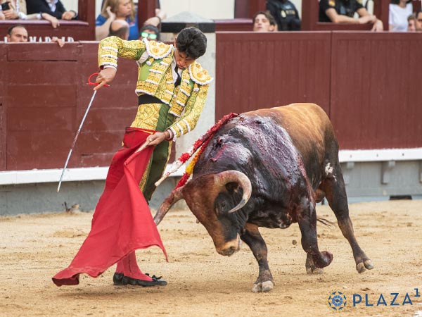 Sincero empe�o de Osornio
