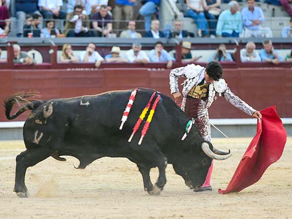 Jarocho se gusta y salva la tarde