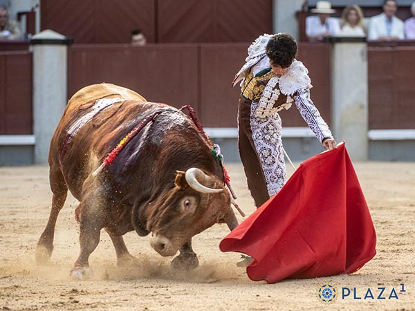 Lucido por el izzquierdo