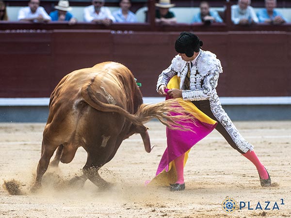 Jarocho, con su primero
