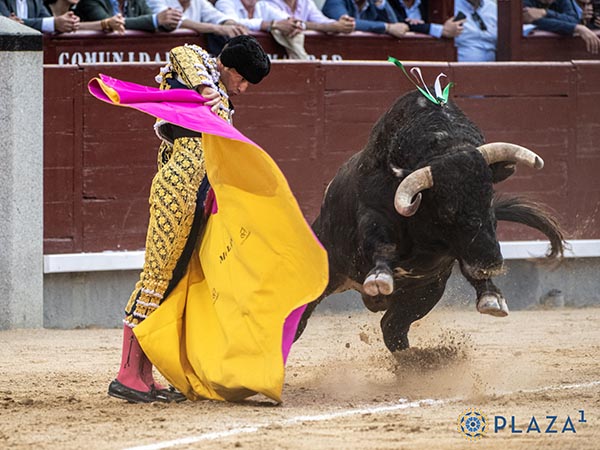 Molina, parando al negro