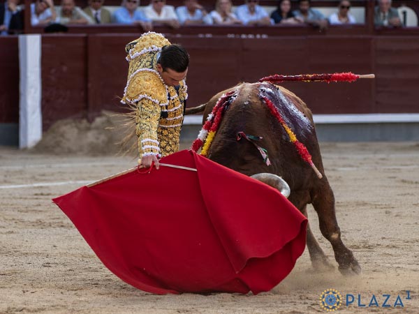 Pit�n derecho
