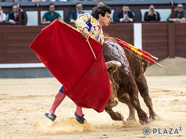 Atropellado por el colorado