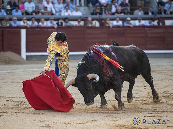De costado