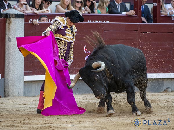 Ver�nicas de Roca Rey