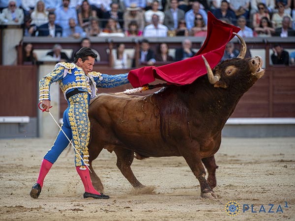 De pit�n a rabo