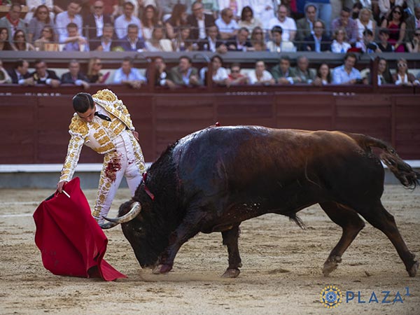 Templado por el derecho