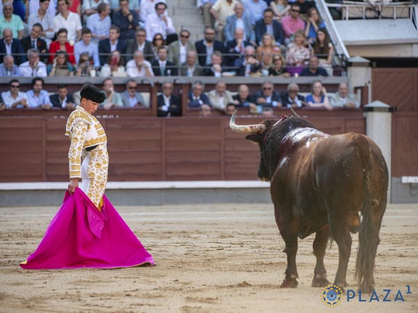 A la distancia
