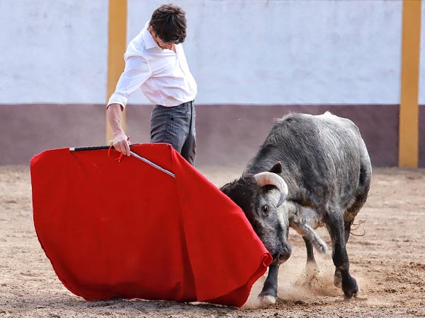Muleta planchada y brazo arqueado